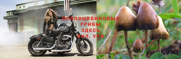 гашик Балабаново