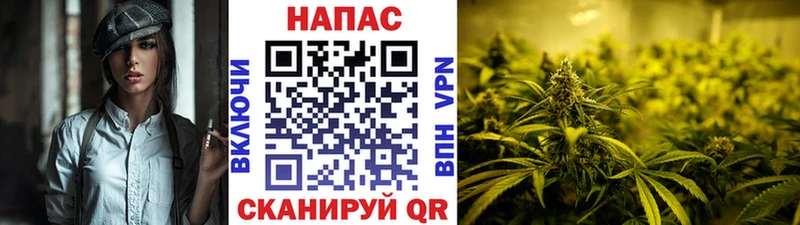 цена наркотик  Буй  МАРИХУАНА MAZAR 
